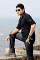 Dookudu Mahesh Babu Stills