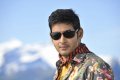 Dookudu Mahesh Babu Stills