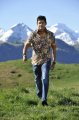 Mahesh Babu Pictures in Dookudu