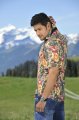 Mahesh Babu New Stills in Dookudu