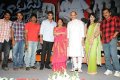 Dookudu Movie Success Meet Stills