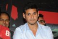 Dookudu Movie Success Meet Stills