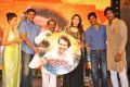 Doosukeltha Movie Audio Release Function Stills