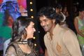 Doosukeltha Movie Audio Release Function Stills