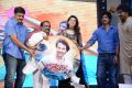 Doosukeltha Movie Audio Release Function Stills