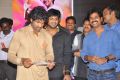 Doosukeltha Movie Audio Release Function Stills