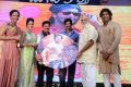 Doosukeltha Movie Audio Release Function Stills