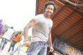 Actor Manchu Vishnu in Doosukeltha Movie Stills