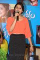 Actress Kruthika Jayakumar @ Drushyam Movie Press Show Photos