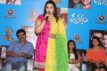 Drushyam Movie Press Show Photos