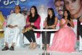 Drushyam Movie Success Meet Stills