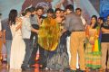 Duvvada Jagannadham Audio Launch Photos