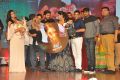 Duvvada Jagannadham Audio Launch Photos