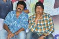 Dwaraka Movie Success Tour @ Vijayawada Photos