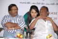 Edalo Cheragani Gurutulu Audio Release Stills