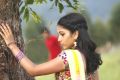Actress Punarnavi Bhupalam in Ee Cinema Superhit Guarantee Movie Stills