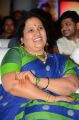 Ee Maaya Peremito Audio Launch Stills