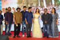 Ee Maaya Peremito Audio Launch Stills