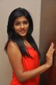 Telugu Actress Eesha Images @ AMAT Success Meet