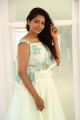 15-18-24 Love Story Actress Eesha Chamundi Photos