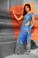 Telugu Actress Eesha in Saree Photo Shoot Stills