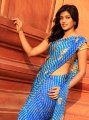 Telugu Actress Eesha in Saree Photo Shoot Stills