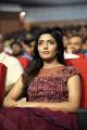 Actress Eesha Rebba Images @ Aravinda Sametha Success Meet