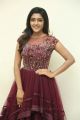 Actress Eesha Rebba Images @ Aravindha Sametha Success Meet