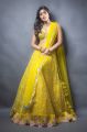 Actress Eesha Rebba Latest Photoshoot Images