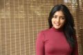 Beautiful Eesha Rebba in T-Shirt and Jeans Photoshoot Pics