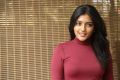 Actress Eesha Rebba in Dark Pink Photoshoot Pics