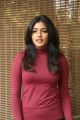 Beautiful Eesha Rebba in T-Shirt and Jeans Photoshoot Pics