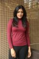 Beautiful Eesha Rebba in T-Shirt and Jeans Photoshoot Pics