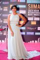 Actress Eesha Rebba Pics @ SIIMA Awards 2018 Red Carpet(Day 1)