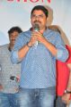 Madhura Sreedhar @ Egise Tarajuvvalu Pre Release Function Stills