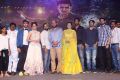 Ekkadiki Pothavu Chinnavada Audio Success Celebrations Photos