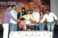 Ela Cheppanu Movie Audio Release Stills