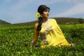 Actress Sada in Eli Movie Photos