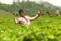 Actor Vadivelu in Eli Movie Photos