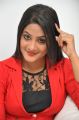 Telugu Actress Elli Photos @ Pramadam Movie Success Meet