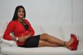Pramadam Movie Actress Yelli Photos