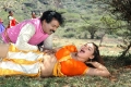 En Ullam Unnai Theduthey Movie Hot Stills