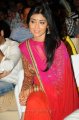 Shriya Saran at Endukante Premanta Audio Release Stills