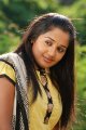 Actress Ananya New Cute Pics