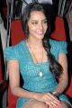 Actres Priya Anand at English Vinglish Press Meet Stills