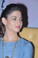 Tamanna Bhatia @ Entertainment Movie Promotions at The Park, Hyderabad