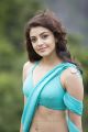 Enthavaraku Ee Prema Actress Kajal Agarwal Hot Photos