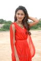 Telugu Actress Erika Fernandez  in Red Dress Stills