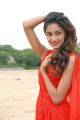Telugu Actress Erika Fernandez  in Red Dress Stills