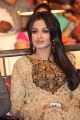 Catherine Tresa @ Errabus Movie Audio Launch Stills